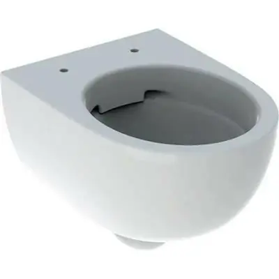 Korlátozott ajánlat Geberit Selnova Compact fali WC, mélyöblítésű, rövidített, zárt forma, Rimfree, 49cm (500.377.01.2)