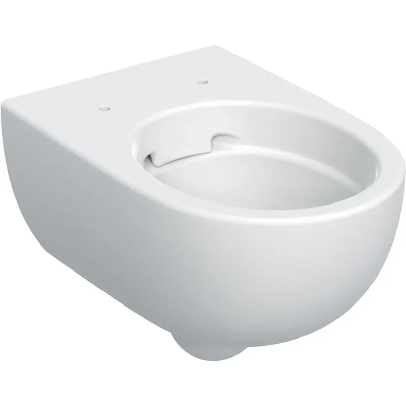 Gyors szállítás Geberit Selnova Premium fali WC, mélyöblítésű, zárt forma, Rimfree (502.035.00.1)