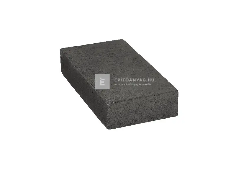 Expressz kézbesítés SW Térkő Bodrogkő antracit 12,5x25x5 cm